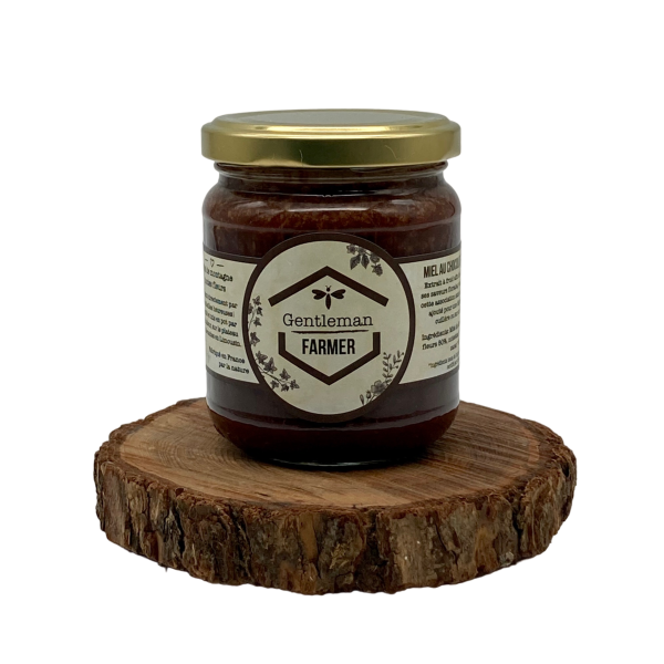 Miel au chocolat – noisettes Biologique 250g Millésime 2023